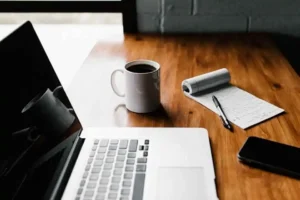 BLOG / ARTICLE WRITING